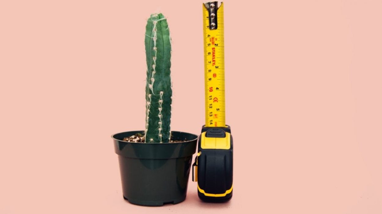 Cactus-Penis