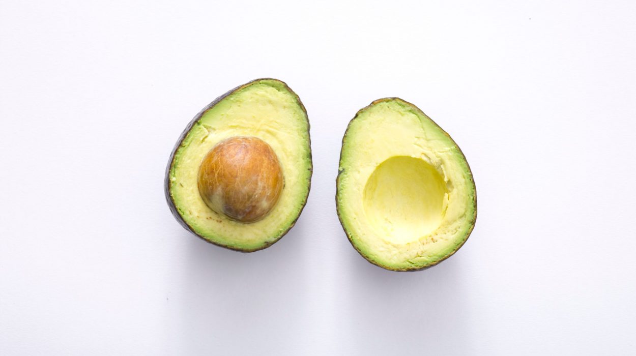 avocados-scaled